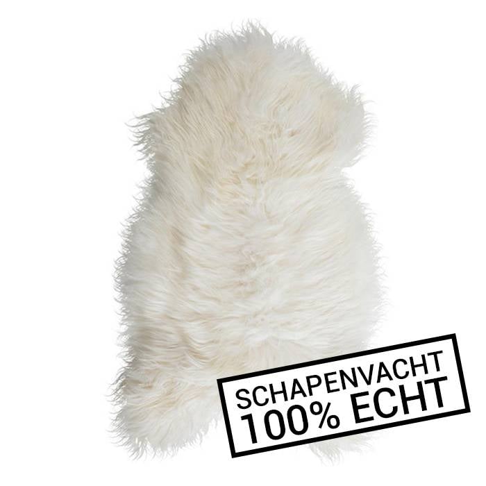 wandtöpfe Wand Blumentopf ⇒ aktuelle Angebote Schüssel 24xH7cm beige Luce