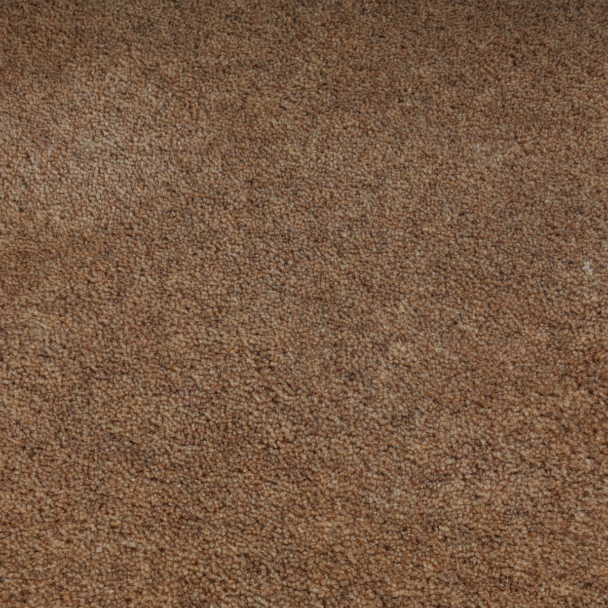 Round rug - Isara Border Brown