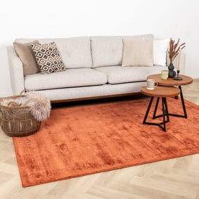 Viskose Teppich - Pearl Terra