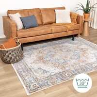 Waschbarer Teppich - Nova Medaillon Bunt 