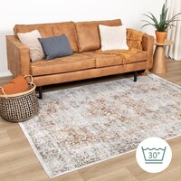 Waschbarer Teppich - Nova Medaillon Hellgrau 