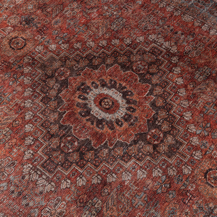 Orientteppich - Liva Medaillon Terrakotta - 3