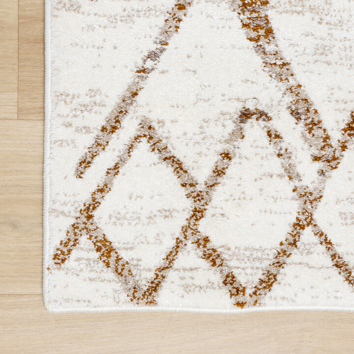 Hochflor Teppich - Blend Diamond Creme Bunt - 3