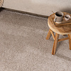Waschbarer Teppich - Clean Beige - thumbnail 2