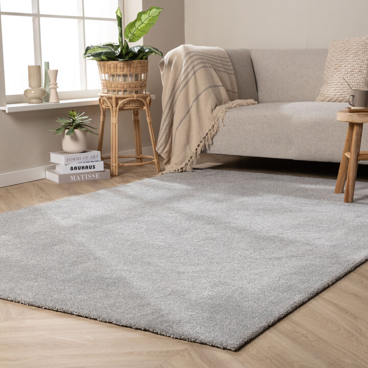 Waschbarer Teppich - Clean Hellgrau