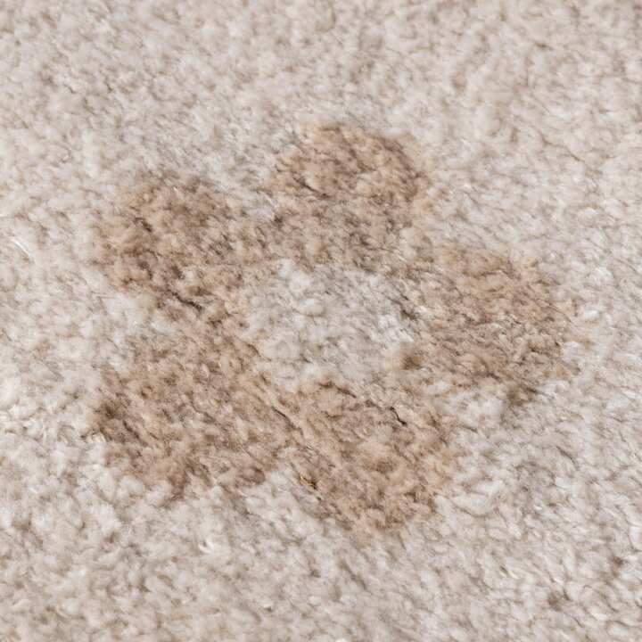 Waschbarer Kinderteppich - Moos Flower Creme - 2