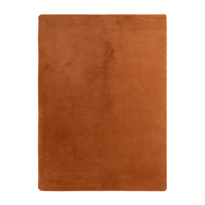 Flauschiger Teppich - Cozy Terra - 1