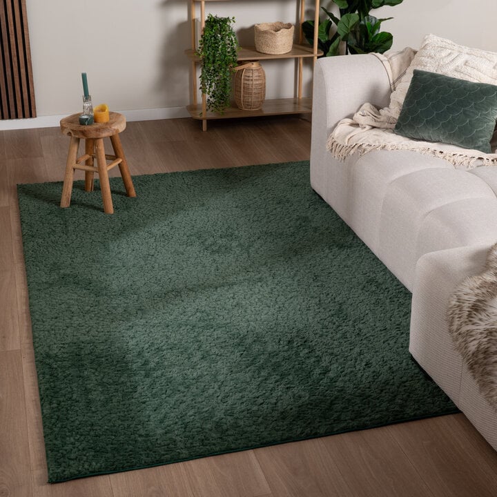 Flauschiger Teppich - Bobby Grün