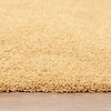 Waschbarer Teppich - Clean Ockergelb - thumbnail 3