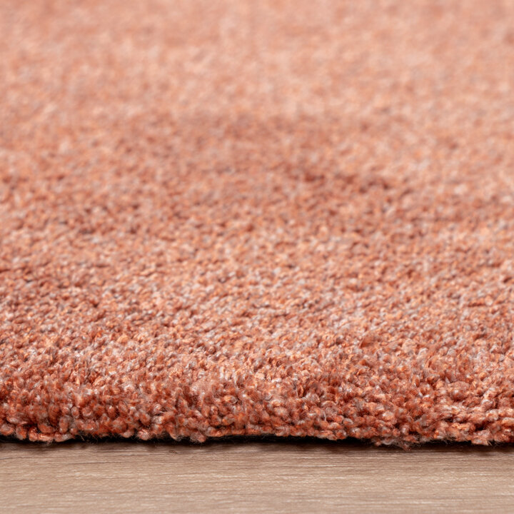 Waschbarer Teppich - Clean Terra - 3